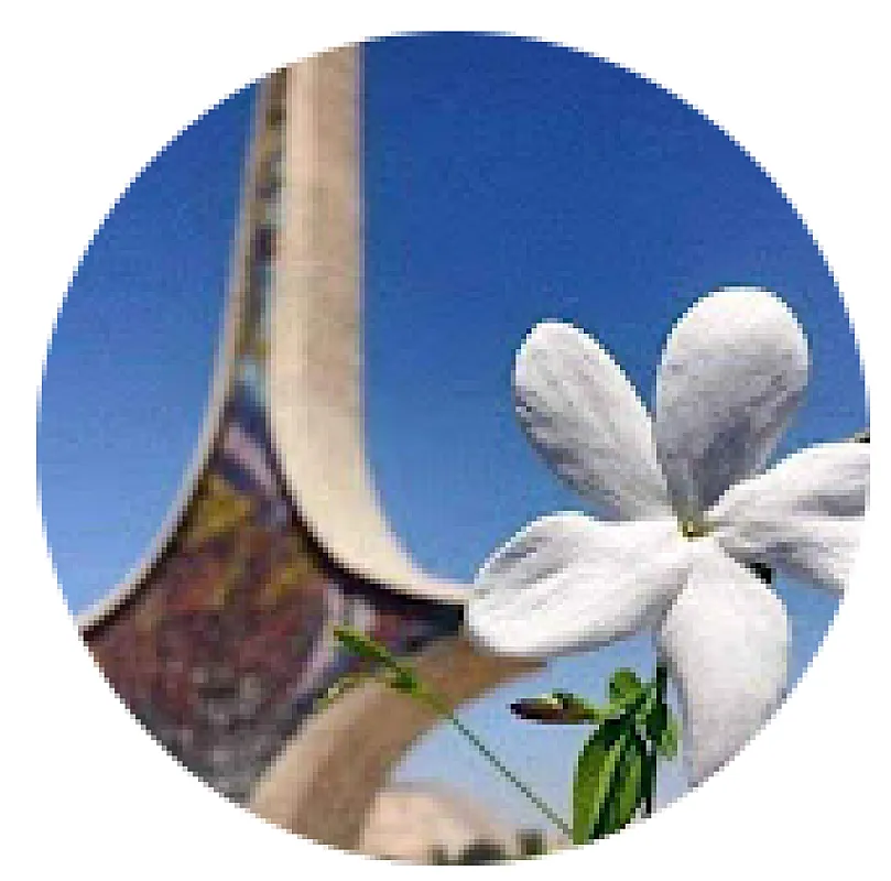 Doaa Al madani